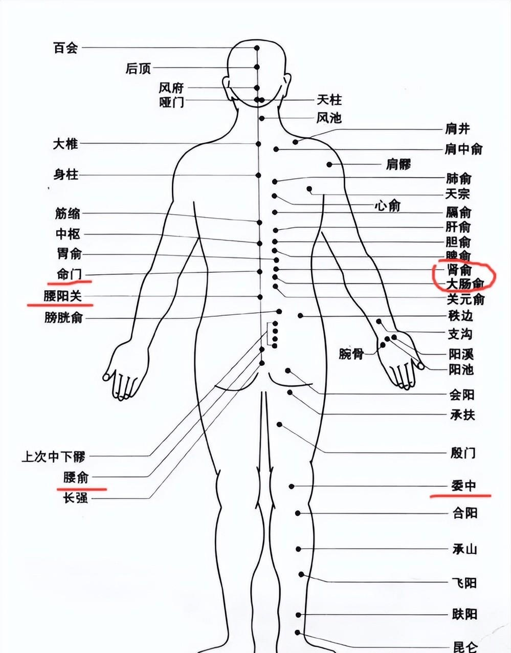 环跳的位置图图片