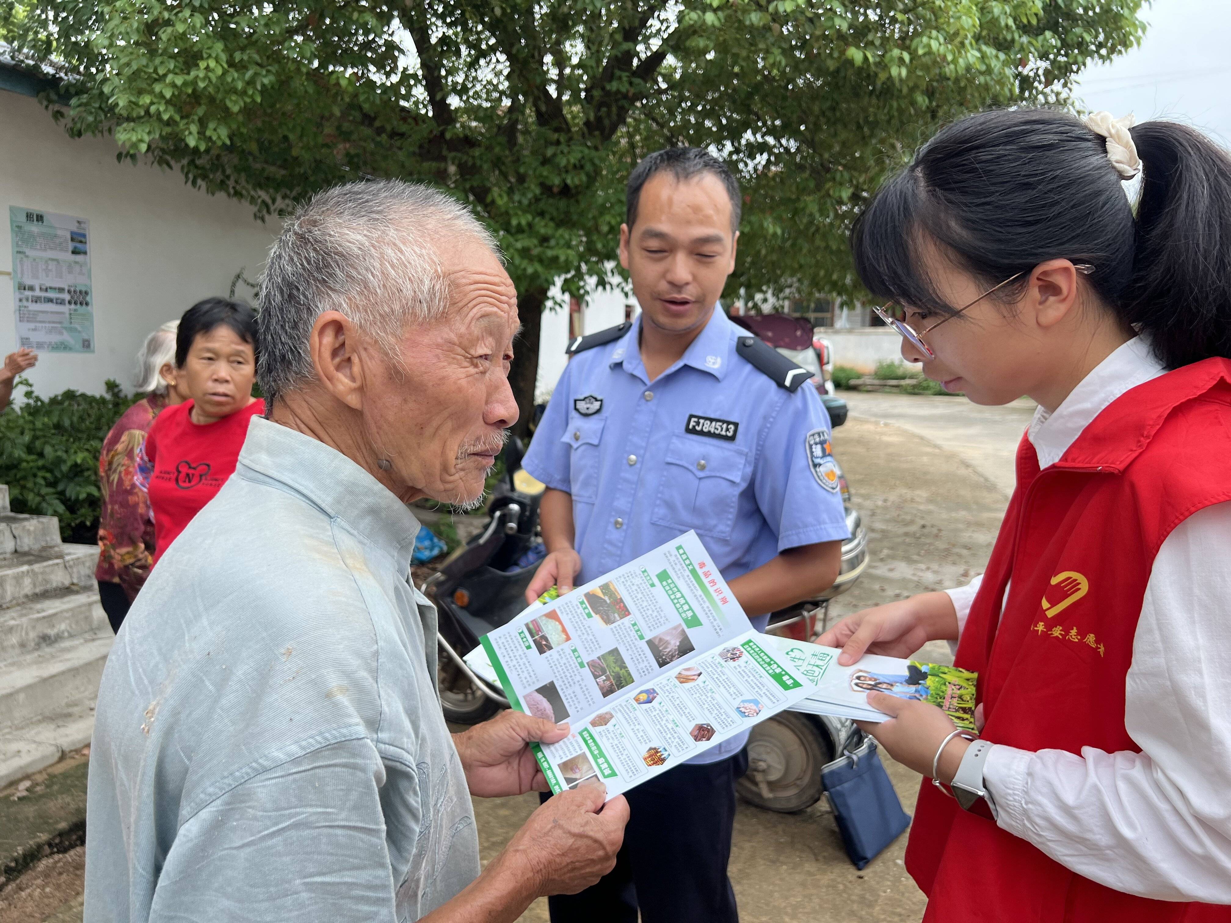 平安村居,无毒乡村"