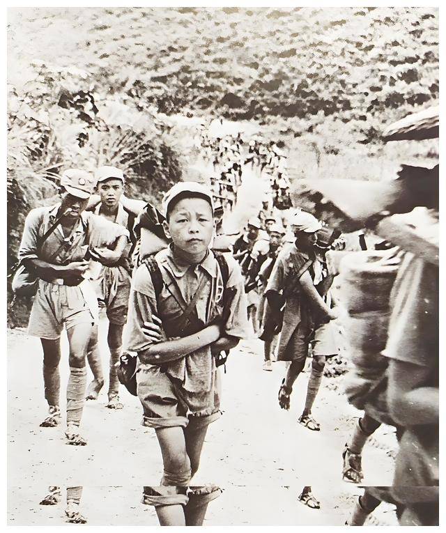 白谏恩通讯:皖南新四军 项英穿着江西时代破大衣_士兵_战斗_政治