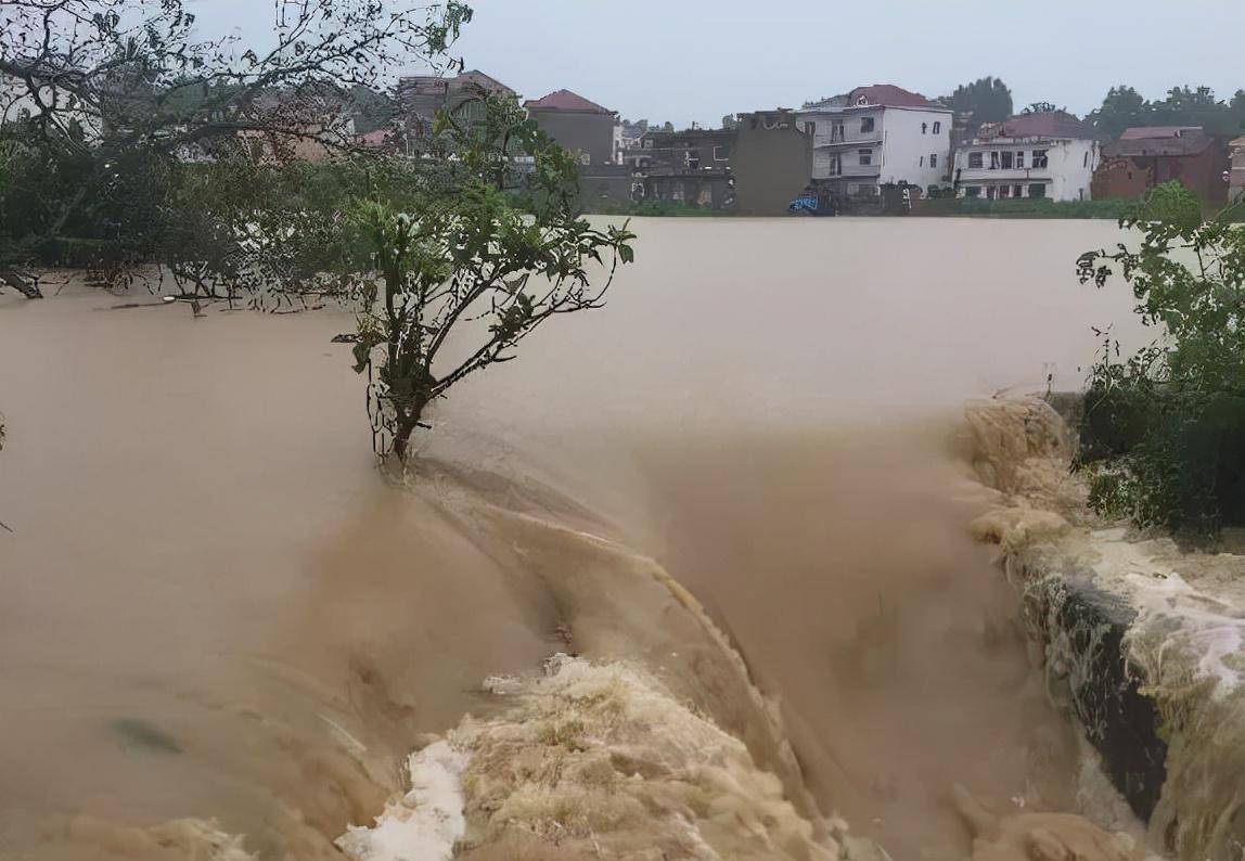 1998年特大洪水中,7岁女孩抱树9小时后获救,长大后决定回馈社会