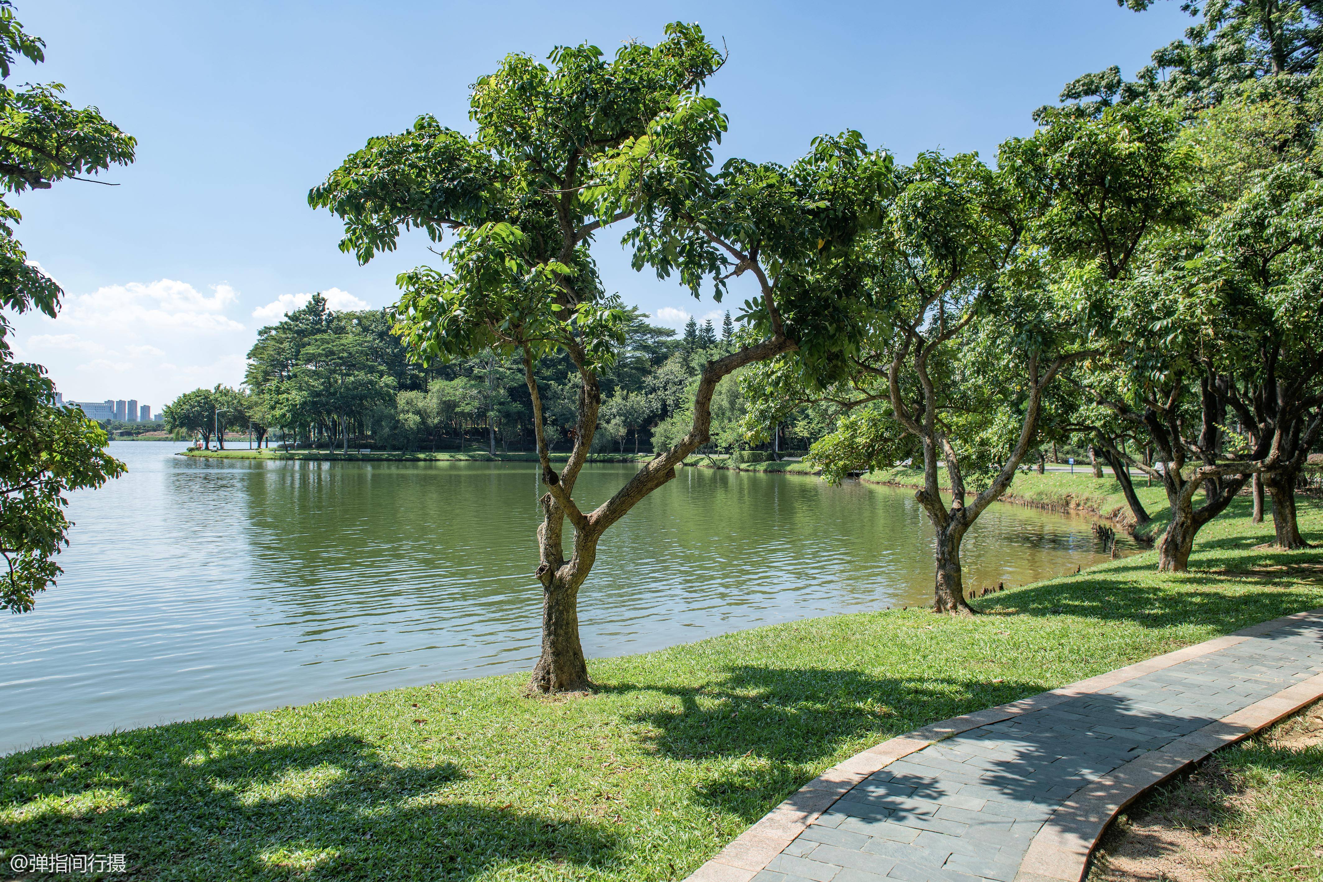 绿岛花园松山湖图片