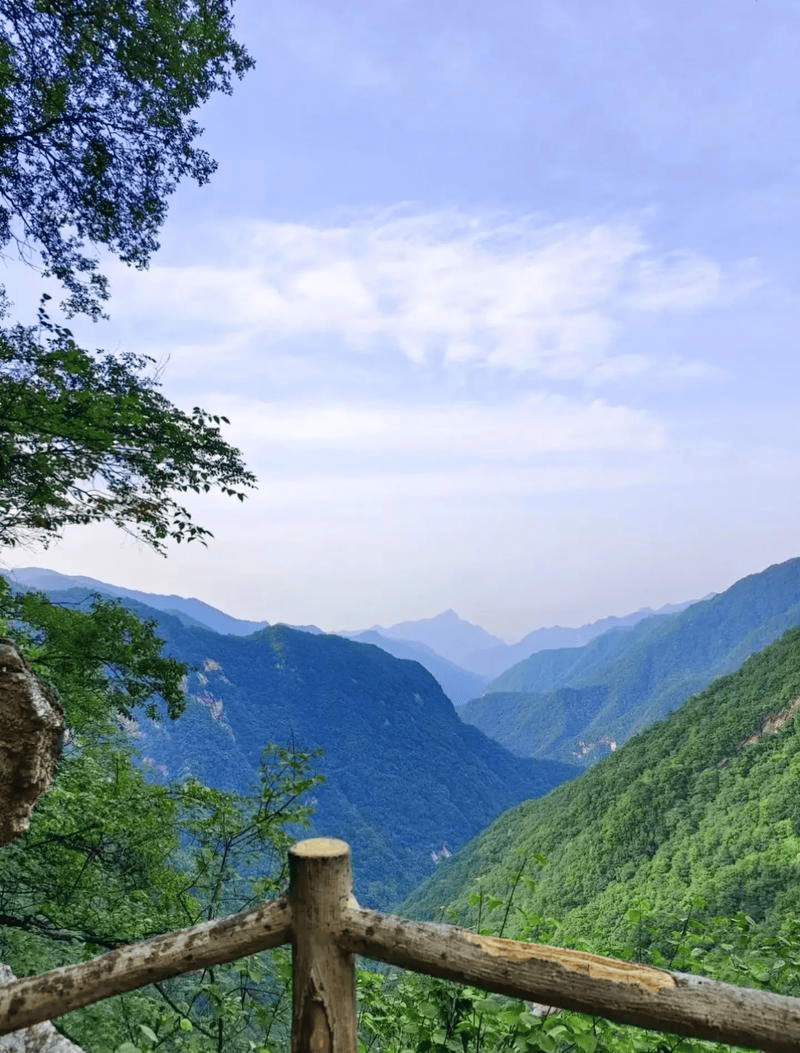 太平森林国家公园图片