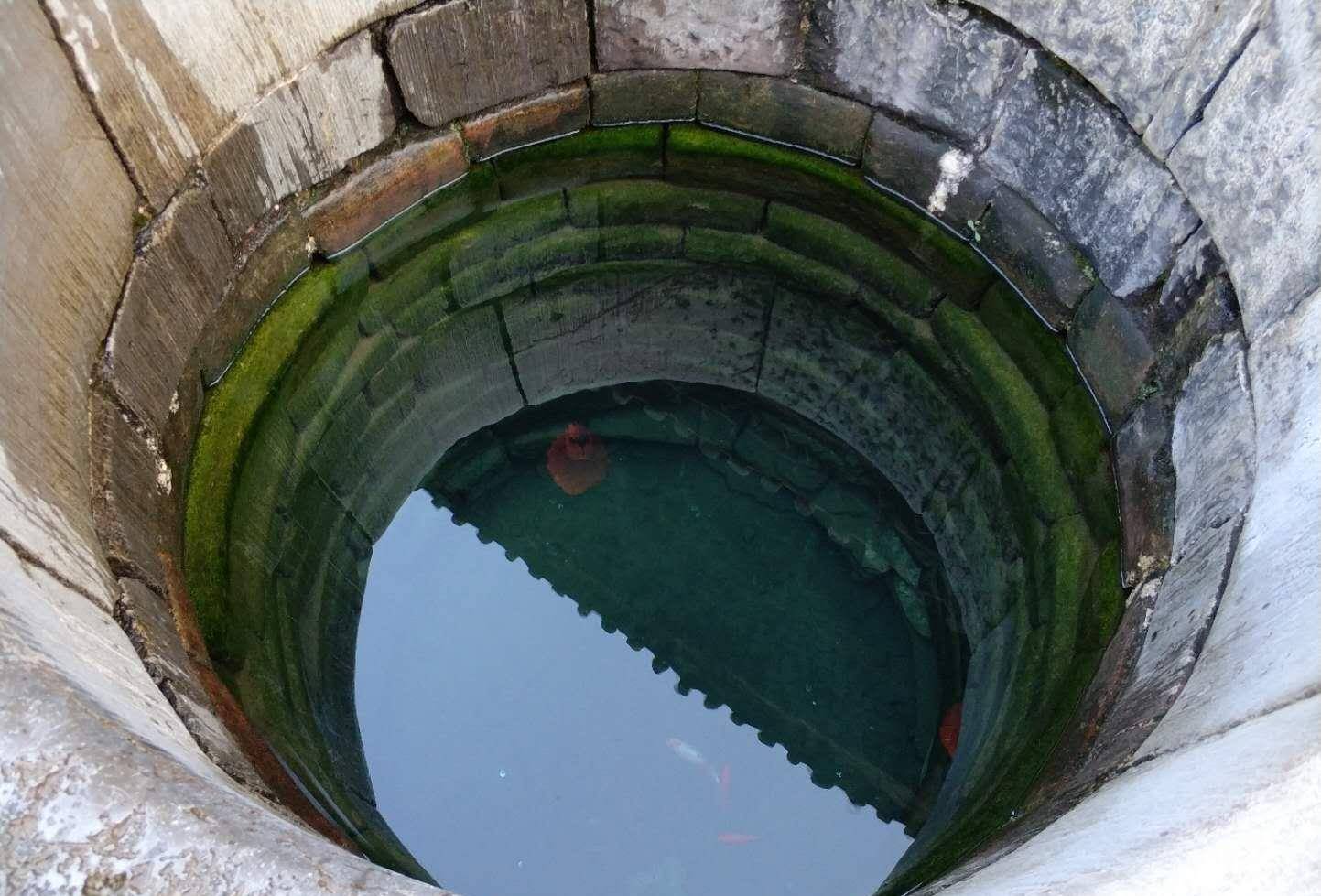 古人为何要在井里放两只乌龟?