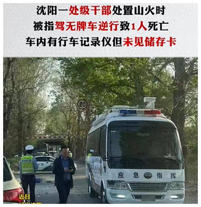 沈阳伊某某照片图片