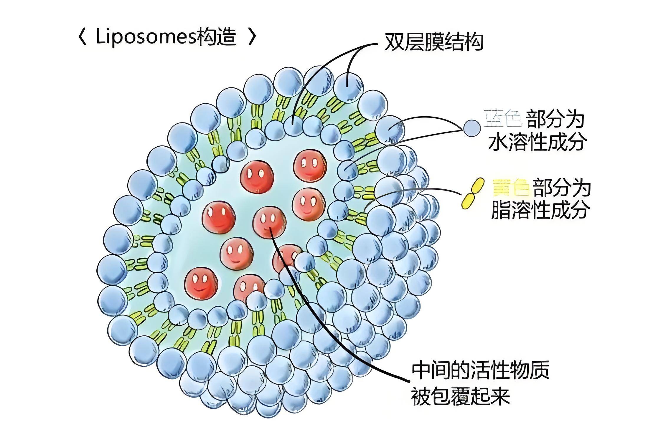 平阳霉素针图片