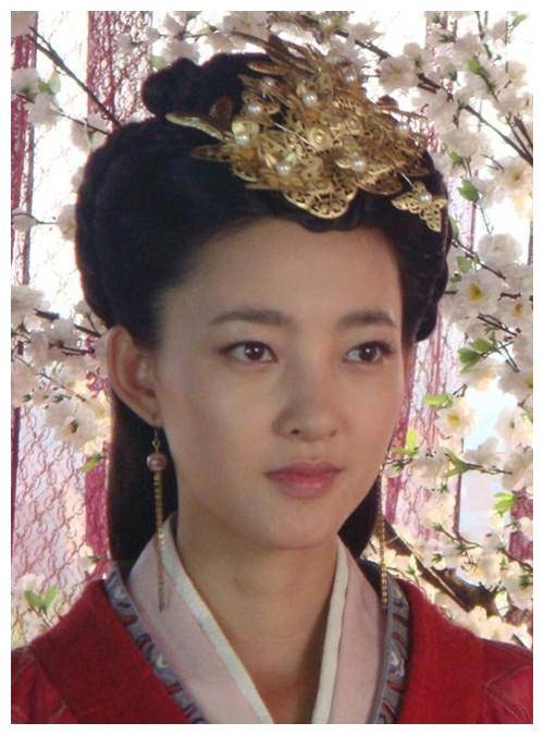 肚子中还怀了一个男孩时,刘启继位,是为汉景帝,王娡还把自己的妹妹