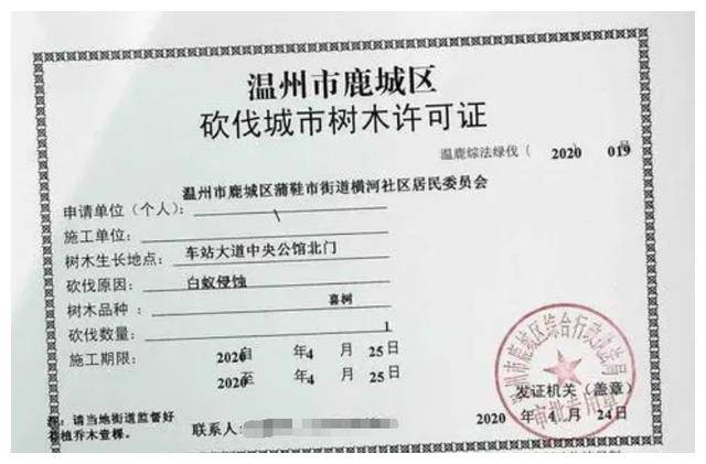 广西男子砍伐自包桉树林被刑拘!桉树有多毒?为何自家树不能砍?