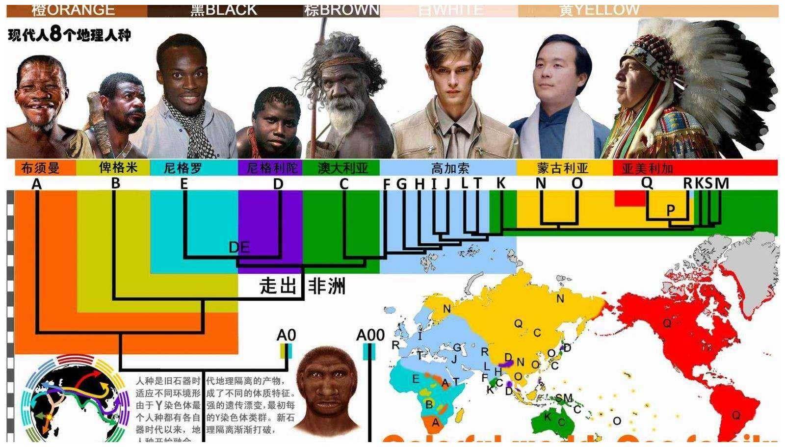 北京人,还是元谋人?