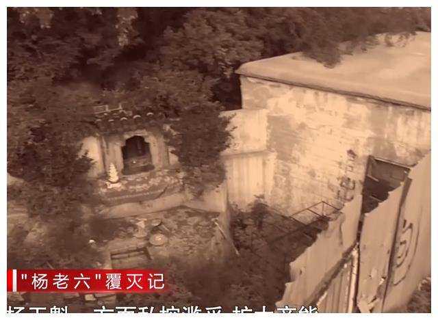 起底黑老大杨老六:死刑犯变首富,涉案资产15亿,给遇难矿工灌酒