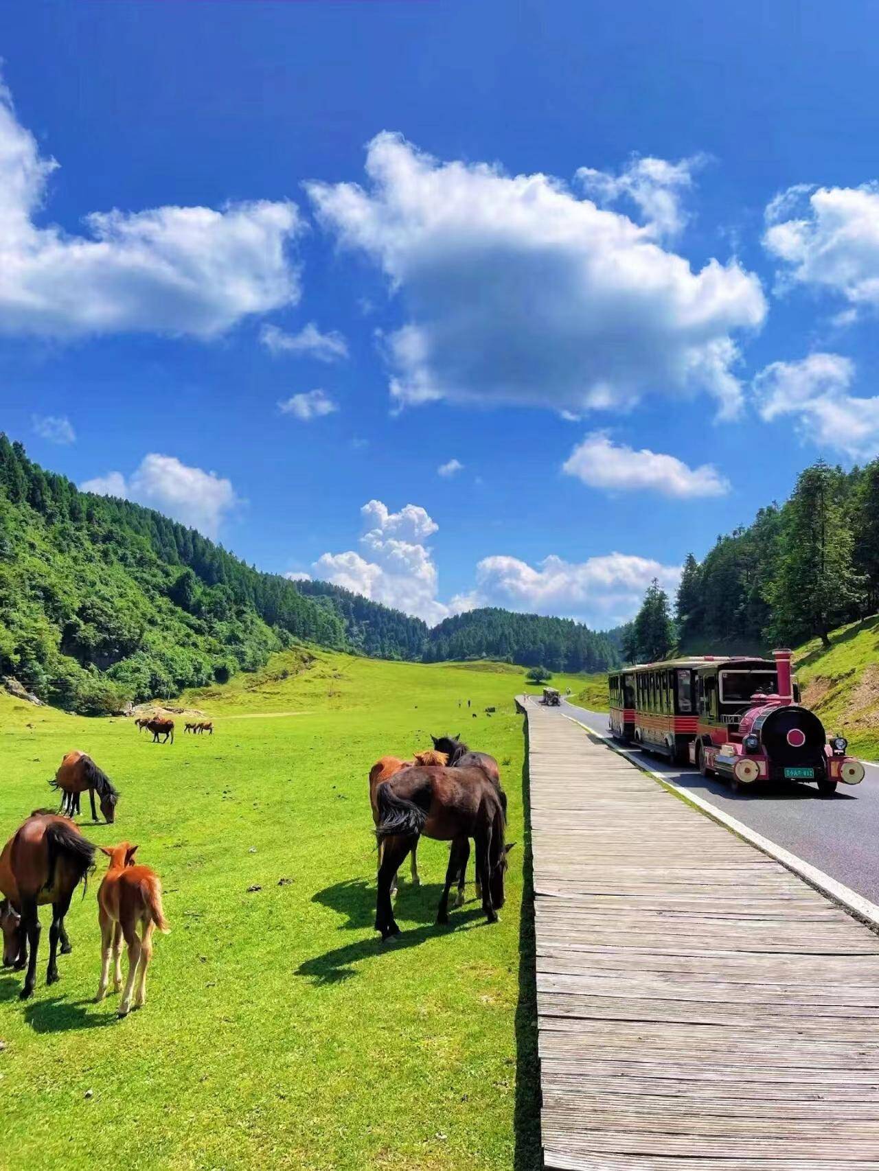 重庆旅游报价_到重庆旅游路线景区门票价格多少钱