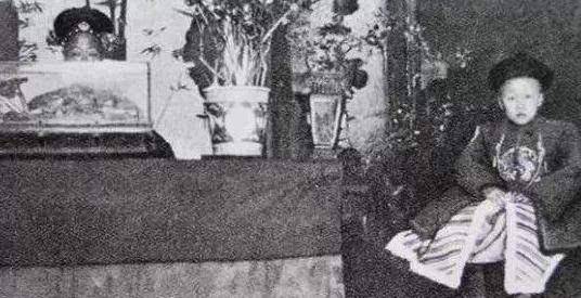 溥仪登基时哭闹不停，摄政王载沣大呼七个字，结果三年后一语成谶-溥仪登基的时候中国情况