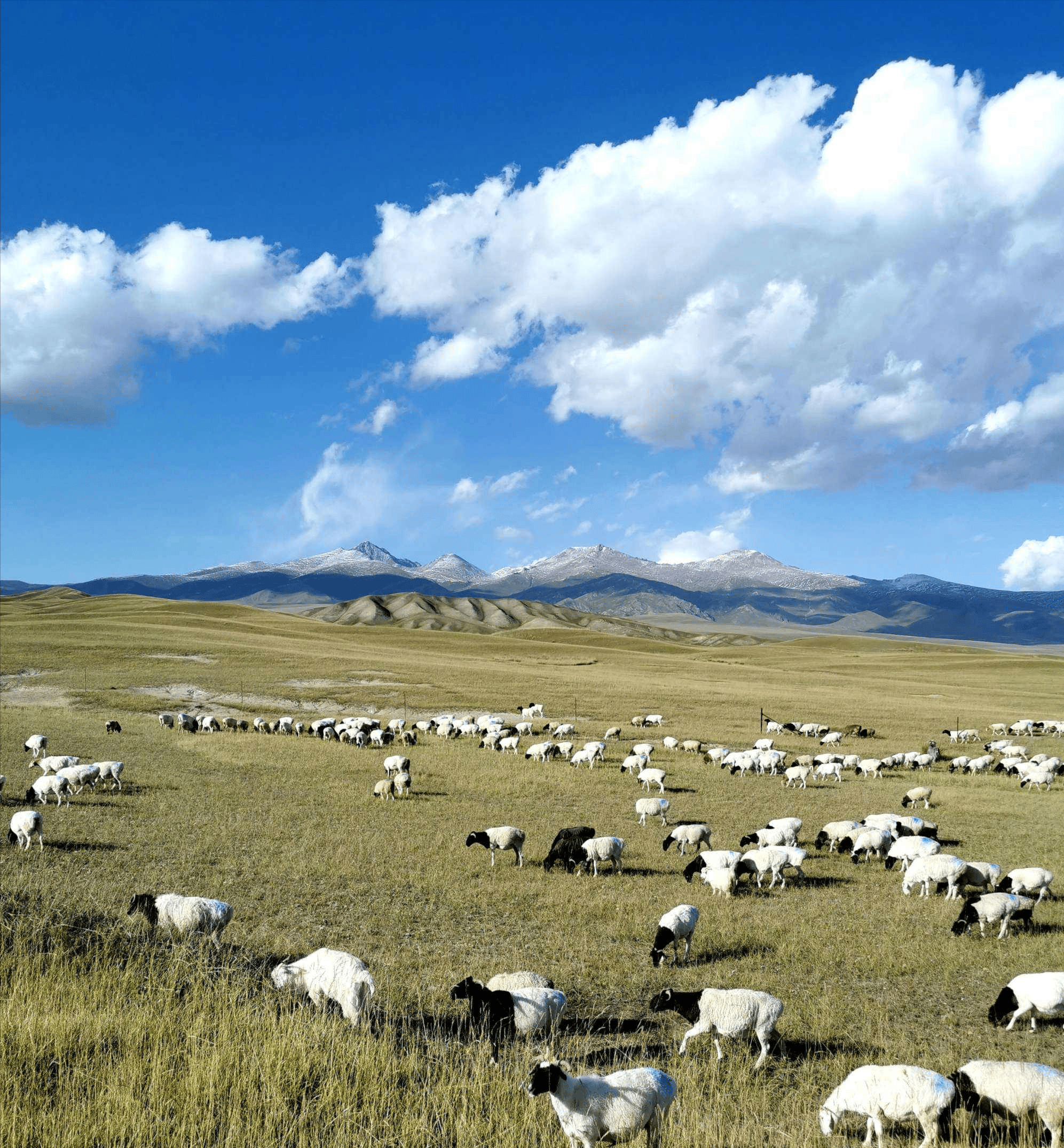 杰恩斯_欧热孜_草原