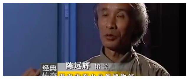 "蛇王"许小武:口水可解各类蛇毒,专家上门请教遭拒,只传家人