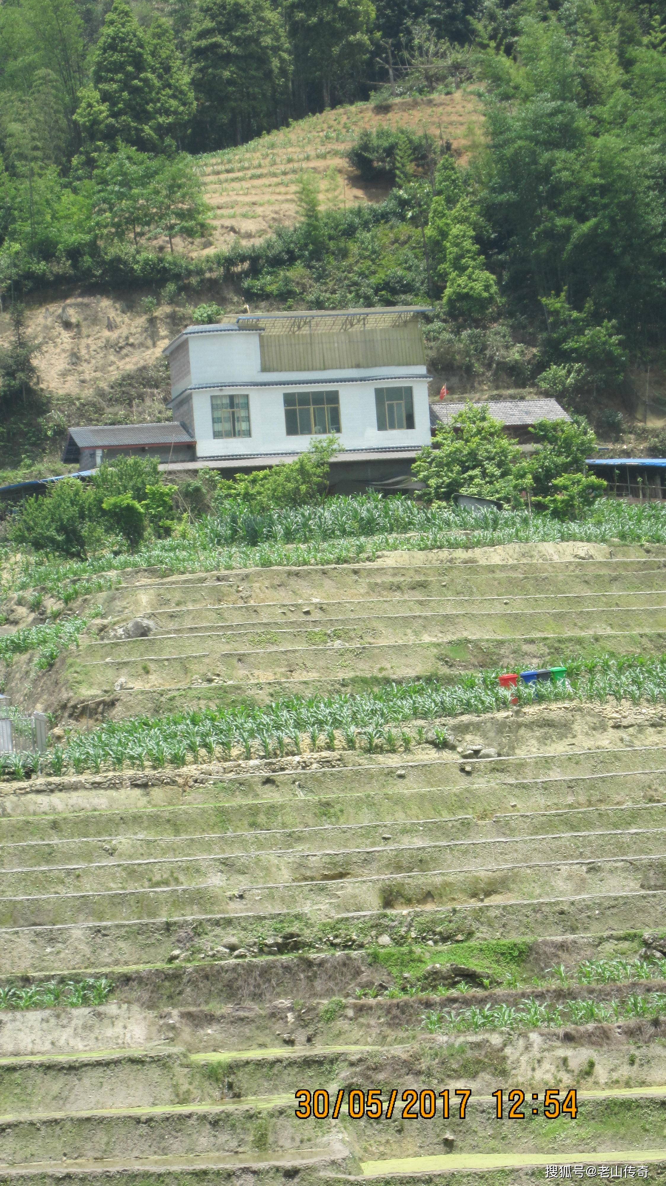 梧桐河农场老等山图片