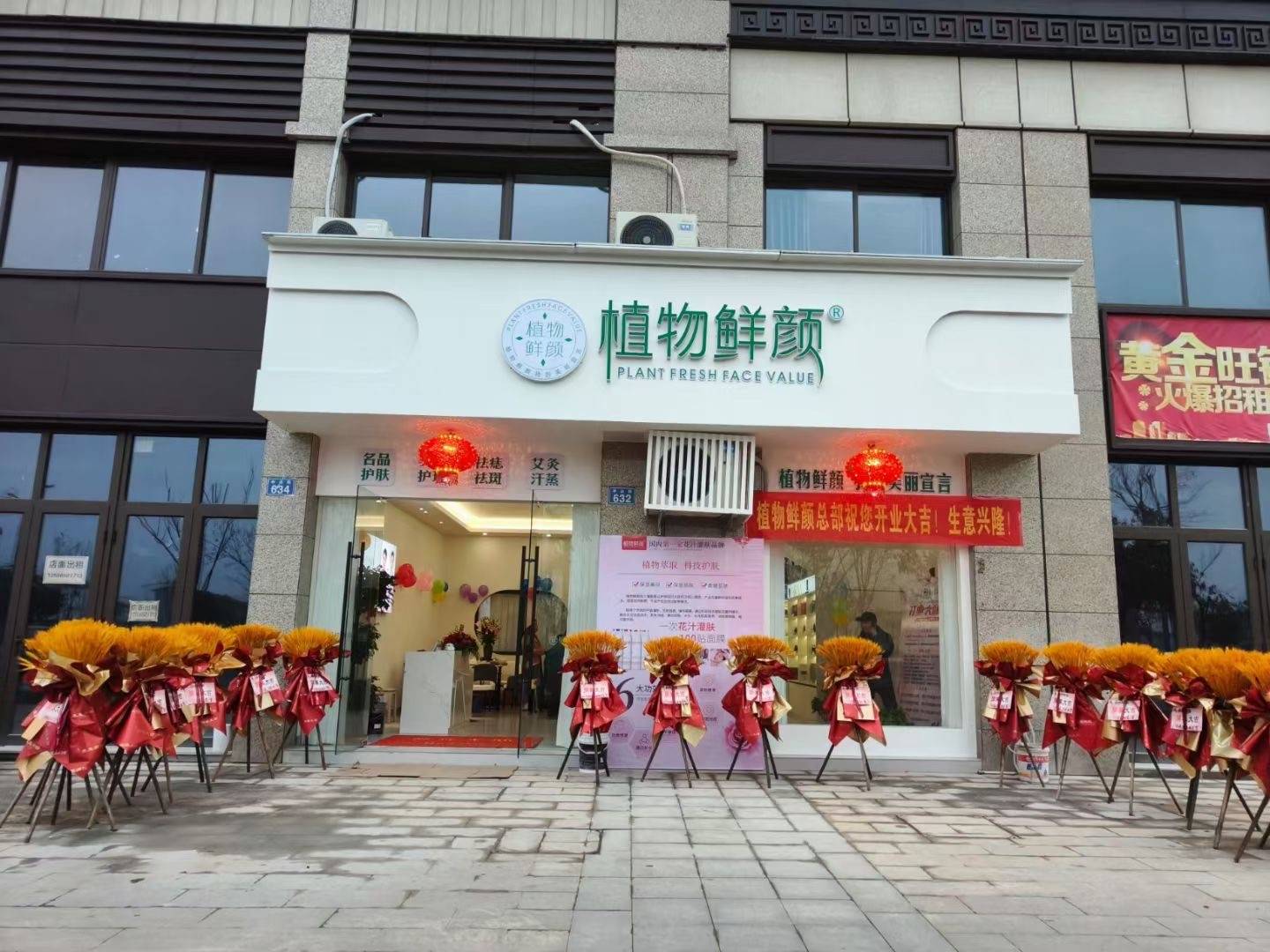 植物鲜颜:以可持续之名,打造绿色美妆新风尚