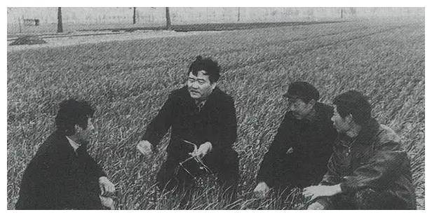 焦裕禄病重住院,病逝后10万群众送行,更有人跳下墓坑阻拦下葬_兰考