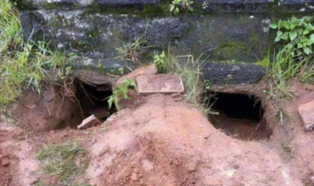 原创姚玉忠,中国最大盗墓团伙头目,判决时大喊:我知道秦皇陵入口