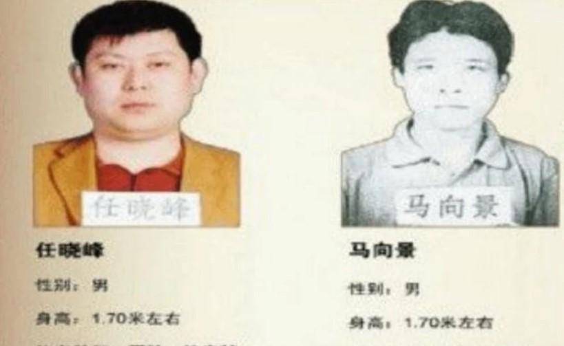 5100万不翼而飞,嫌犯以为天衣无缝,谁知5天破案_任晓峰_张经理_工作