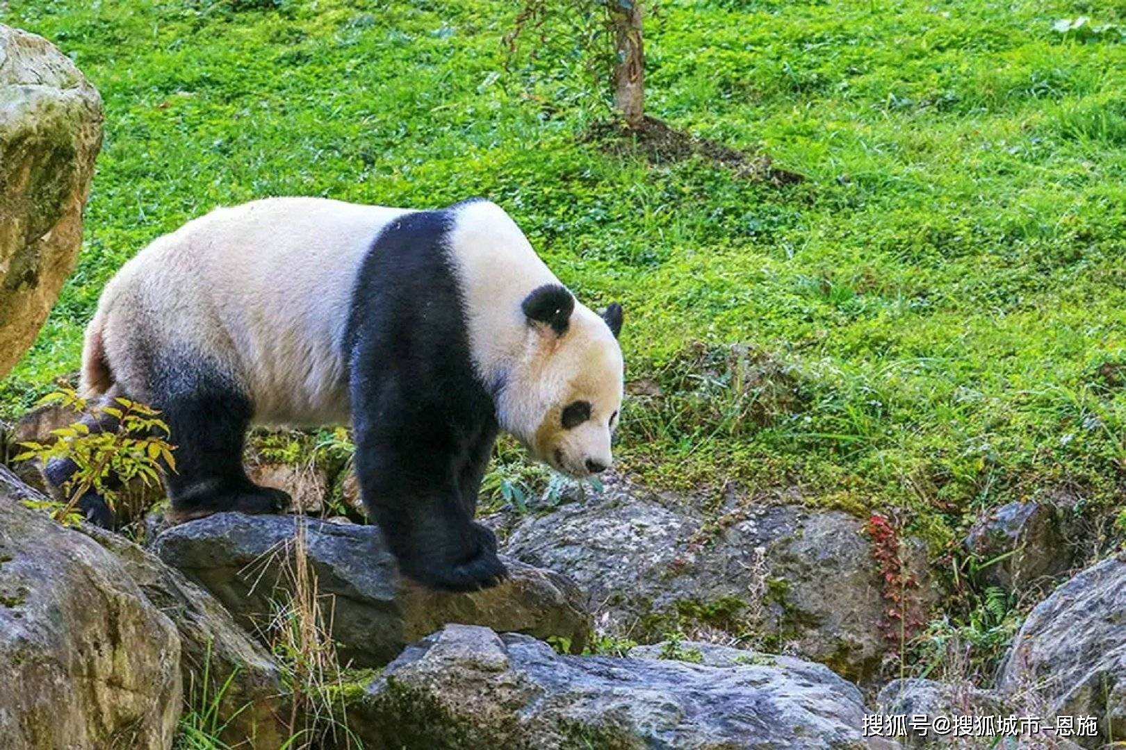 川西小环线旅游地图,4天川西旅游攻略-第1张图片-旅游攻略网