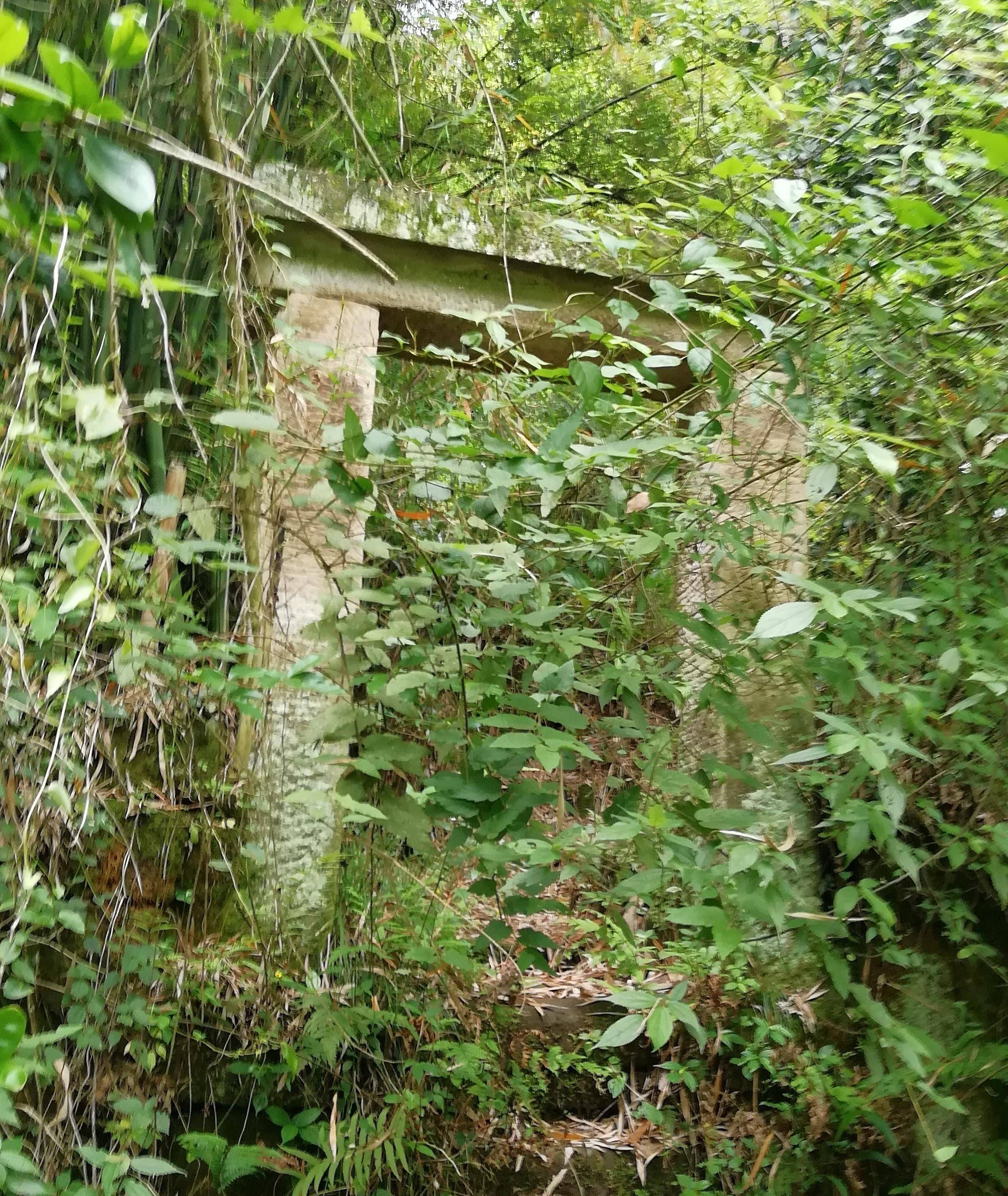 原创重庆巴南区石龙镇山林里隐藏的清朝古墓,墓主是川陕提督护国将军