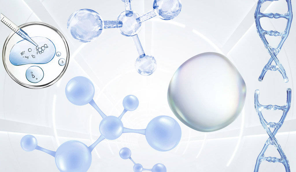 包裹超顺磁氧化铁磁性纳米颗粒(spions)pcl 纳米短纤维被海藻酸钠水