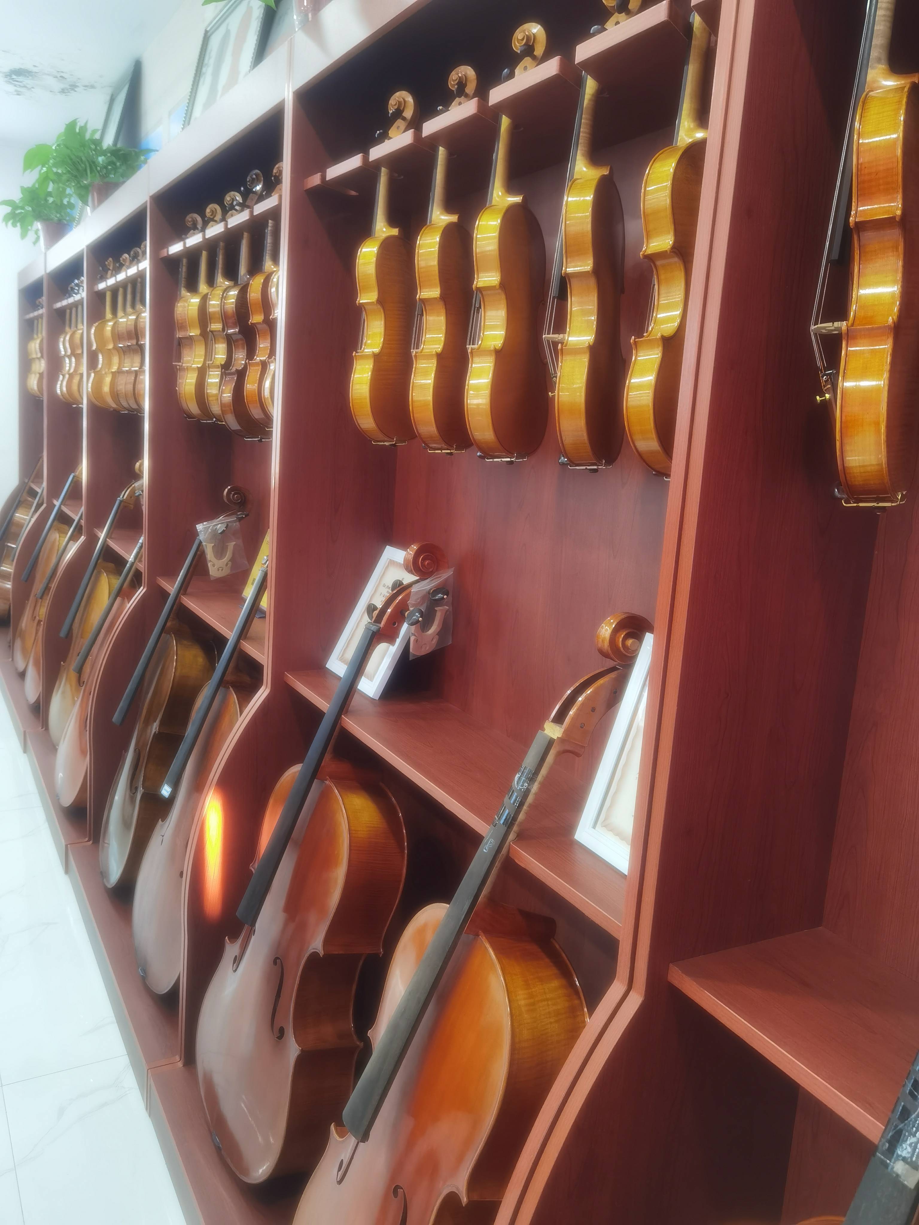 "2024·乡村振兴看河南"网络主题宣传活动之走进确山竹沟村小王庄提琴