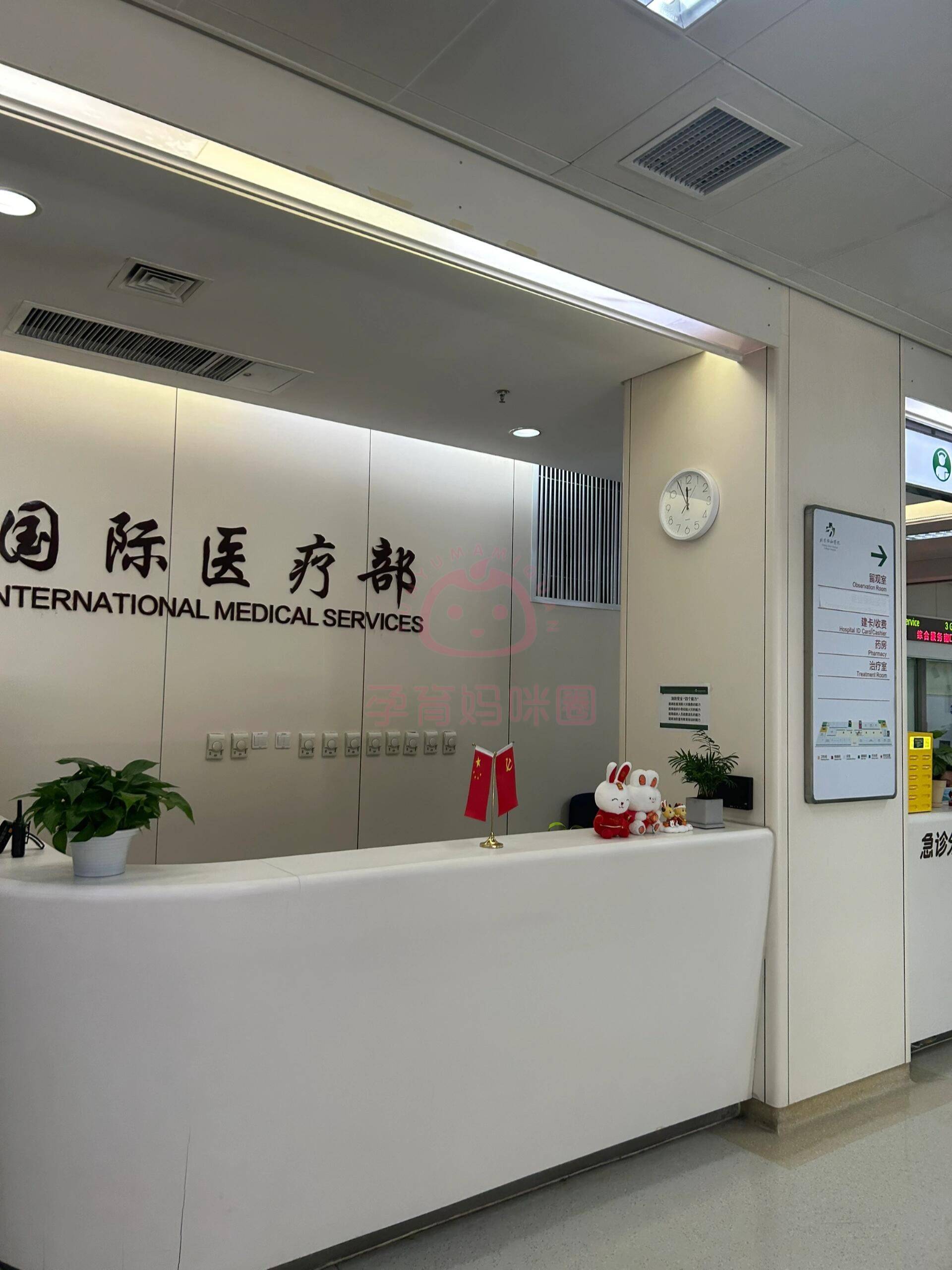 2024年北京协和医院国际医疗部产科信息汇总