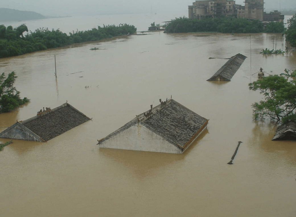 1998年,洪水中6岁女童抱树9小时获救,2021年与恩人见面泣不成声