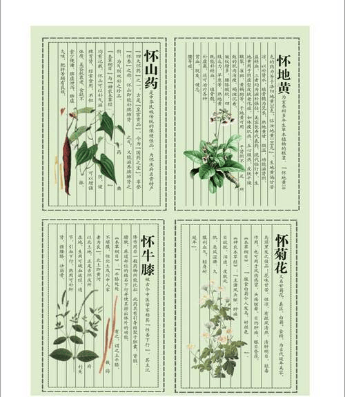 四大怀药绘画图片