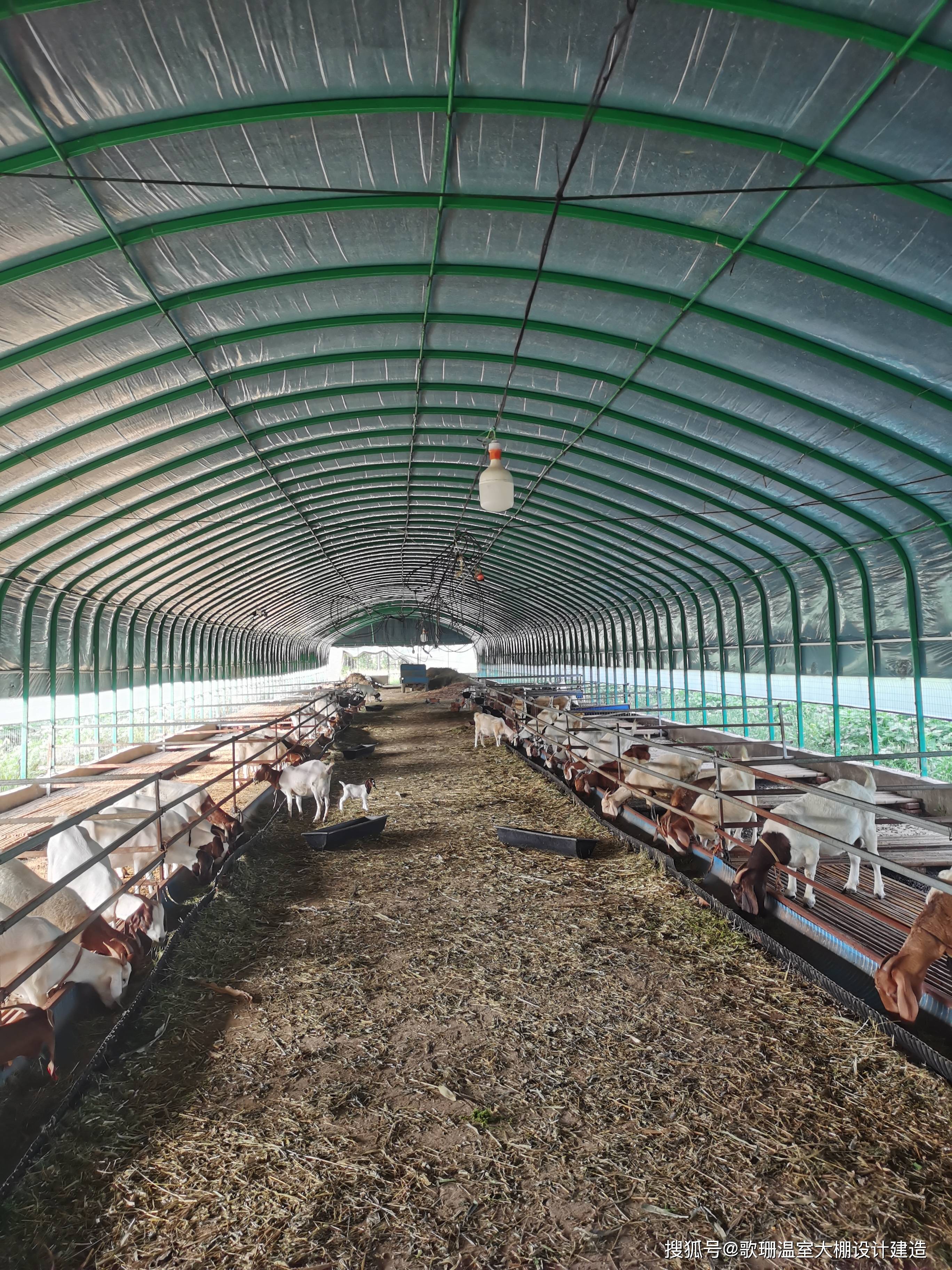 《歌珊温室》建造养殖大棚要注意哪些问题?