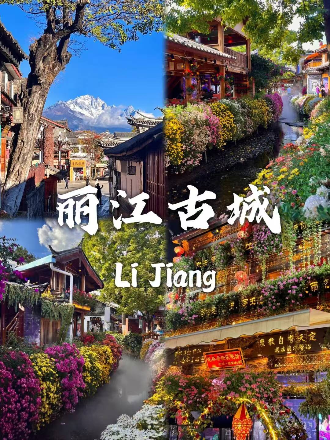 丽江旅游季节图片