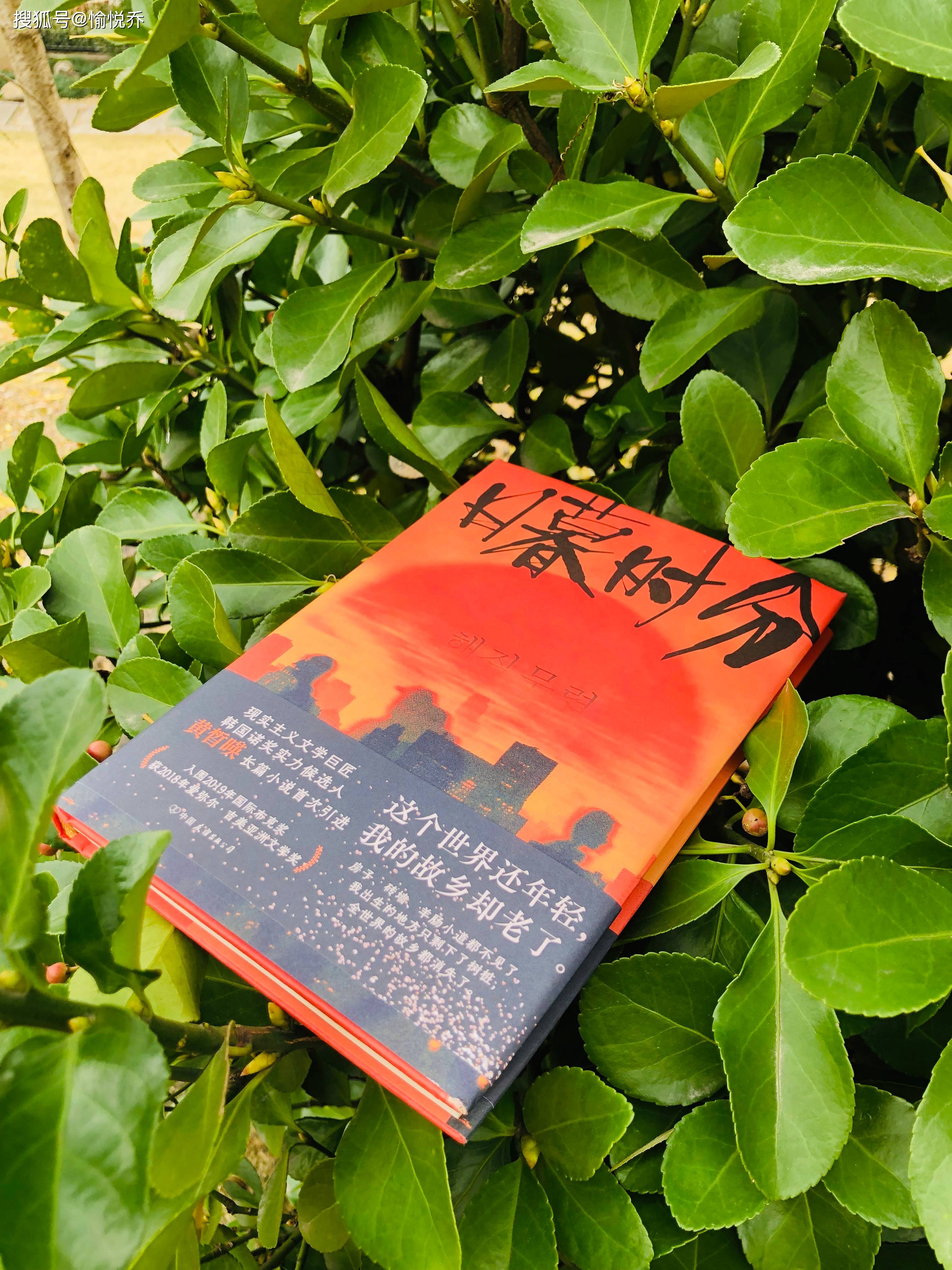 两位角色切换的叙事风格,让读者好像在看电影一般镜头来回切换