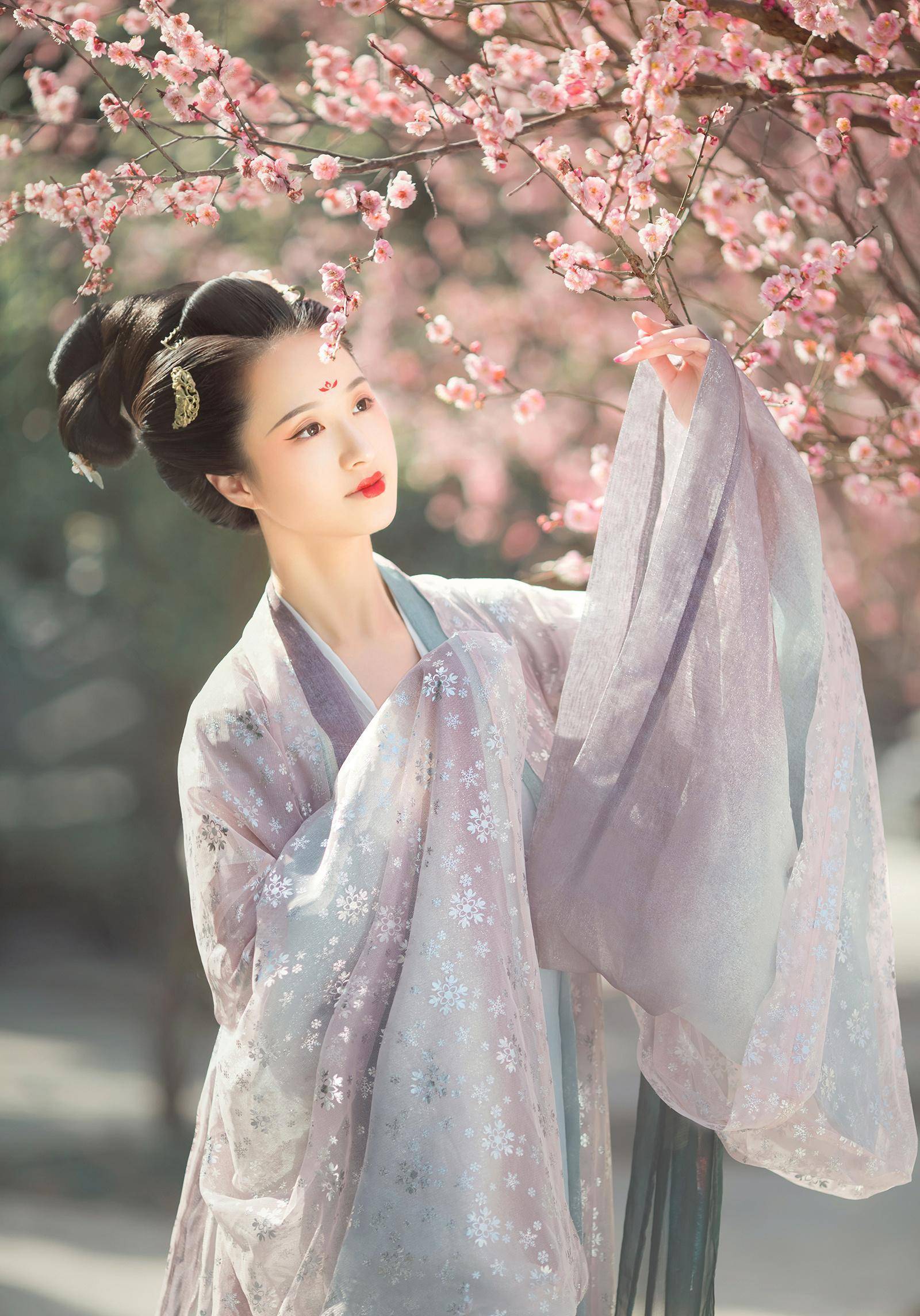 穿越古代之极品才子
