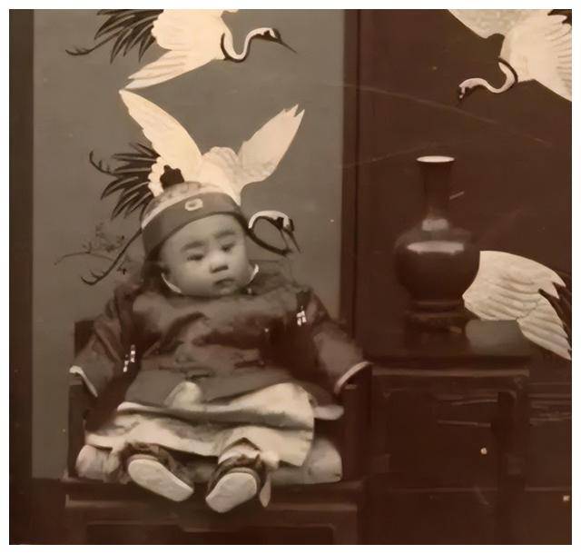 66张照片看尽溥仪的一生:从末代皇帝到新中国的普通一员