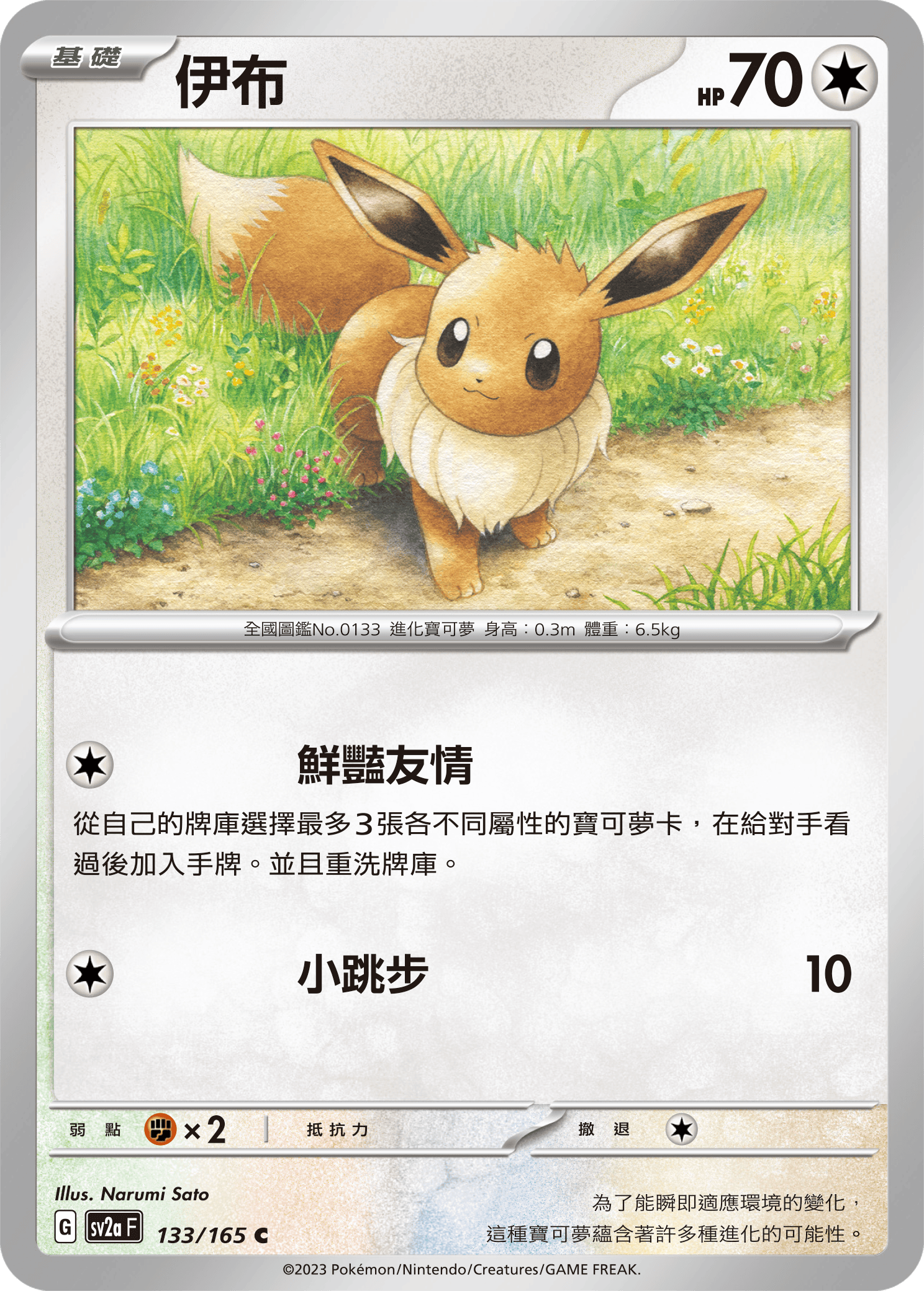 宝可梦卡牌视频