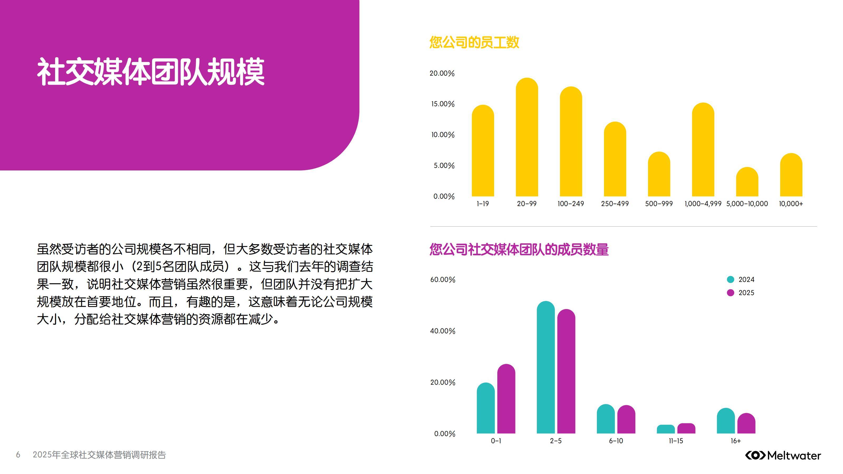 2025年全球社交媒体营销趋势分析，会用AI工具，才是未来十年赢家-报告智库