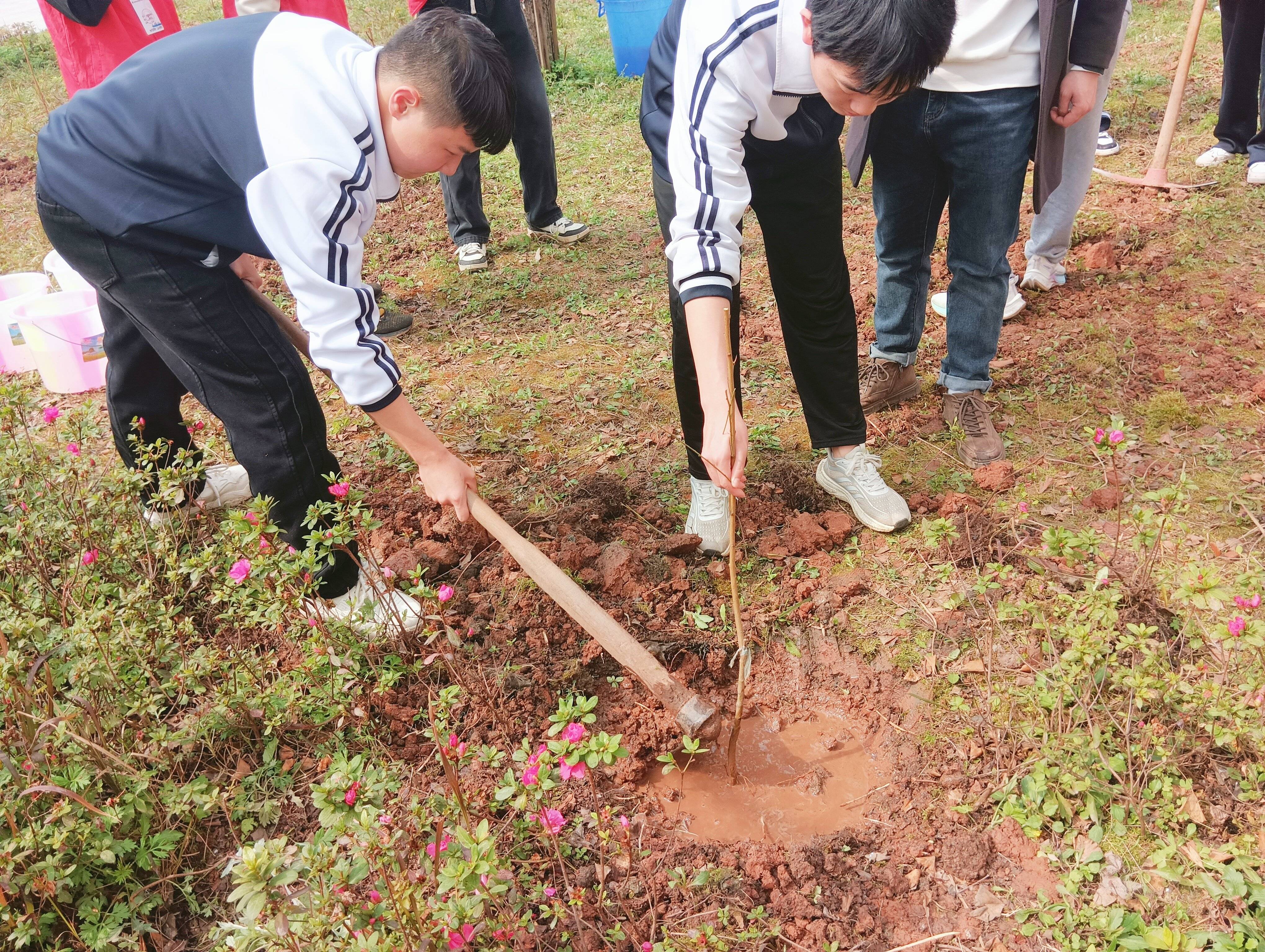 让校园与生态同美丽