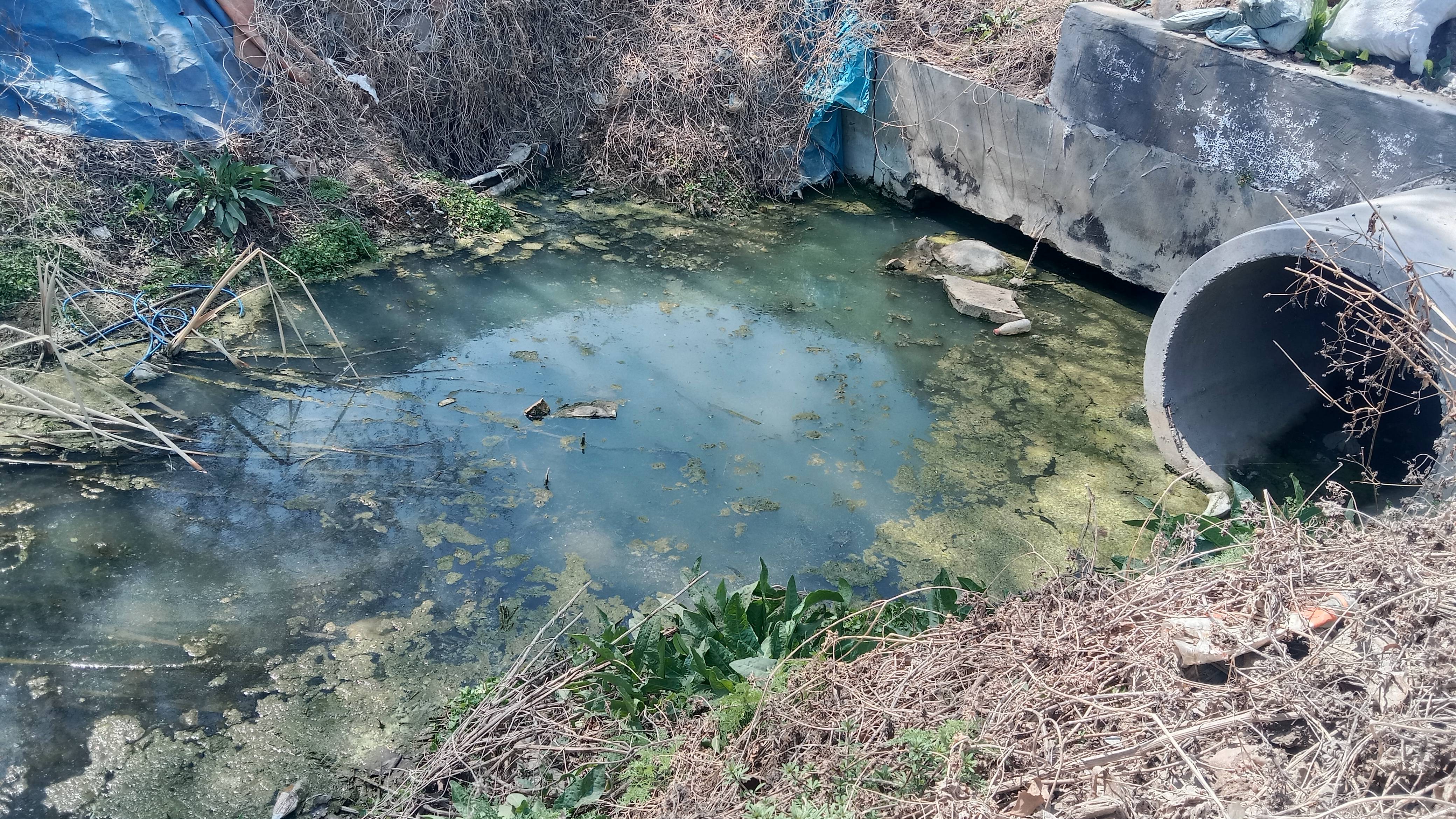 污染_生活_污水