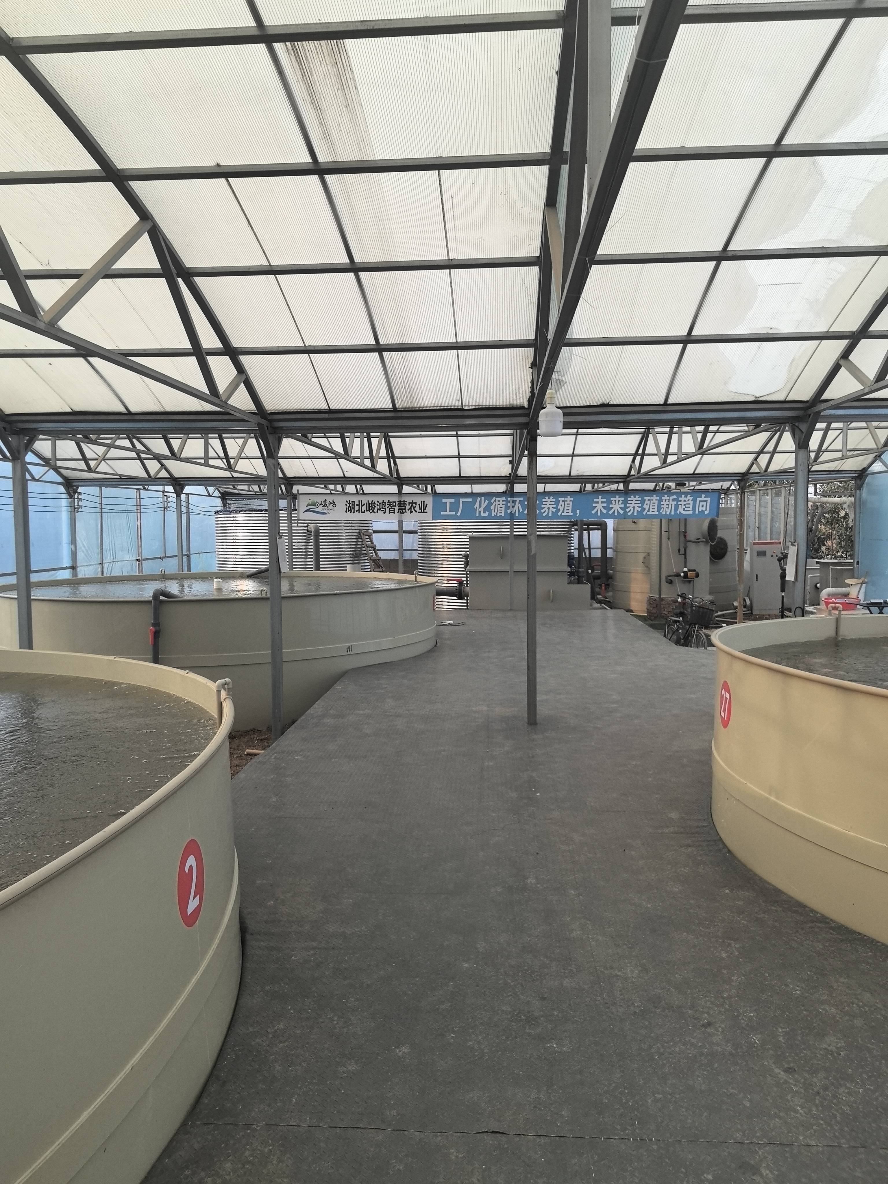 湖北峻鸿智慧农业开发有限公司循环水技术养殖促进鱼虾养殖业致富