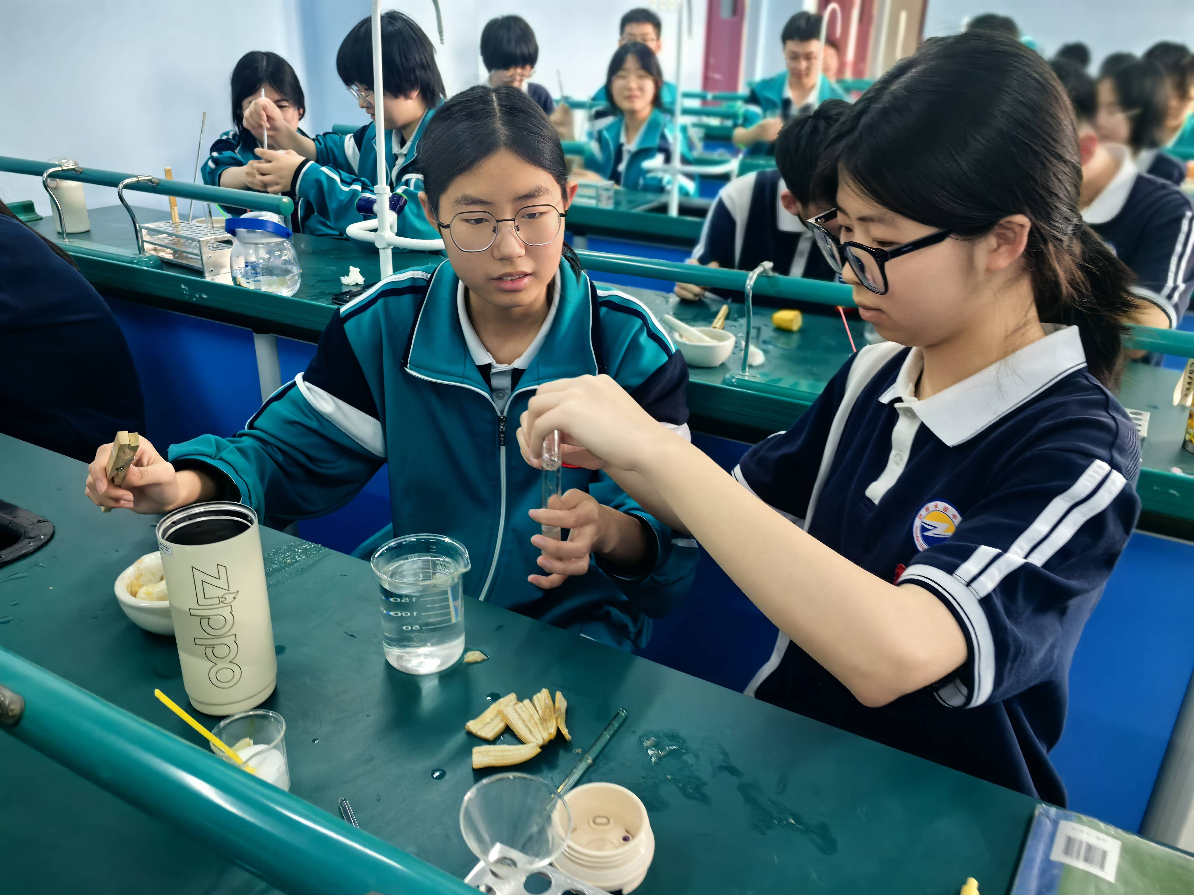 卓越趣味生物实验