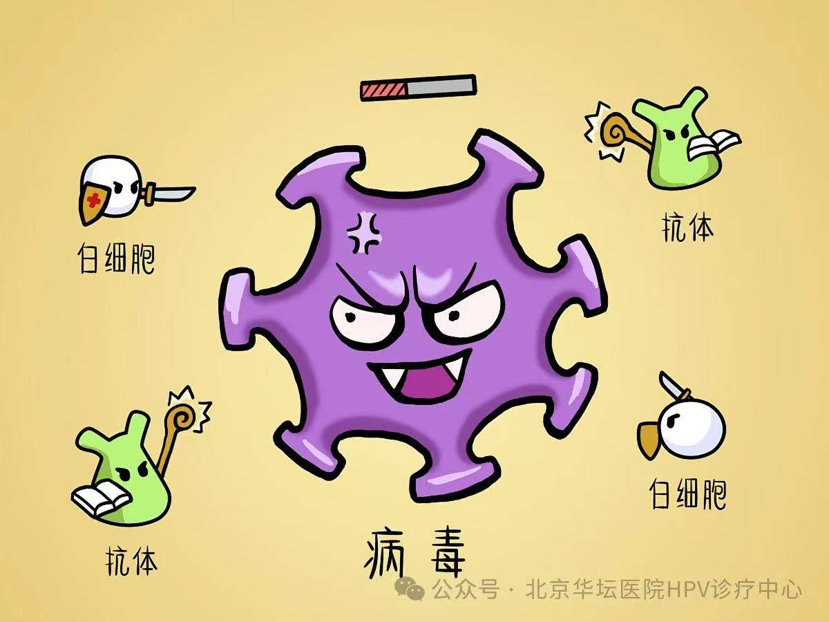 为什么有些病毒难以控制？