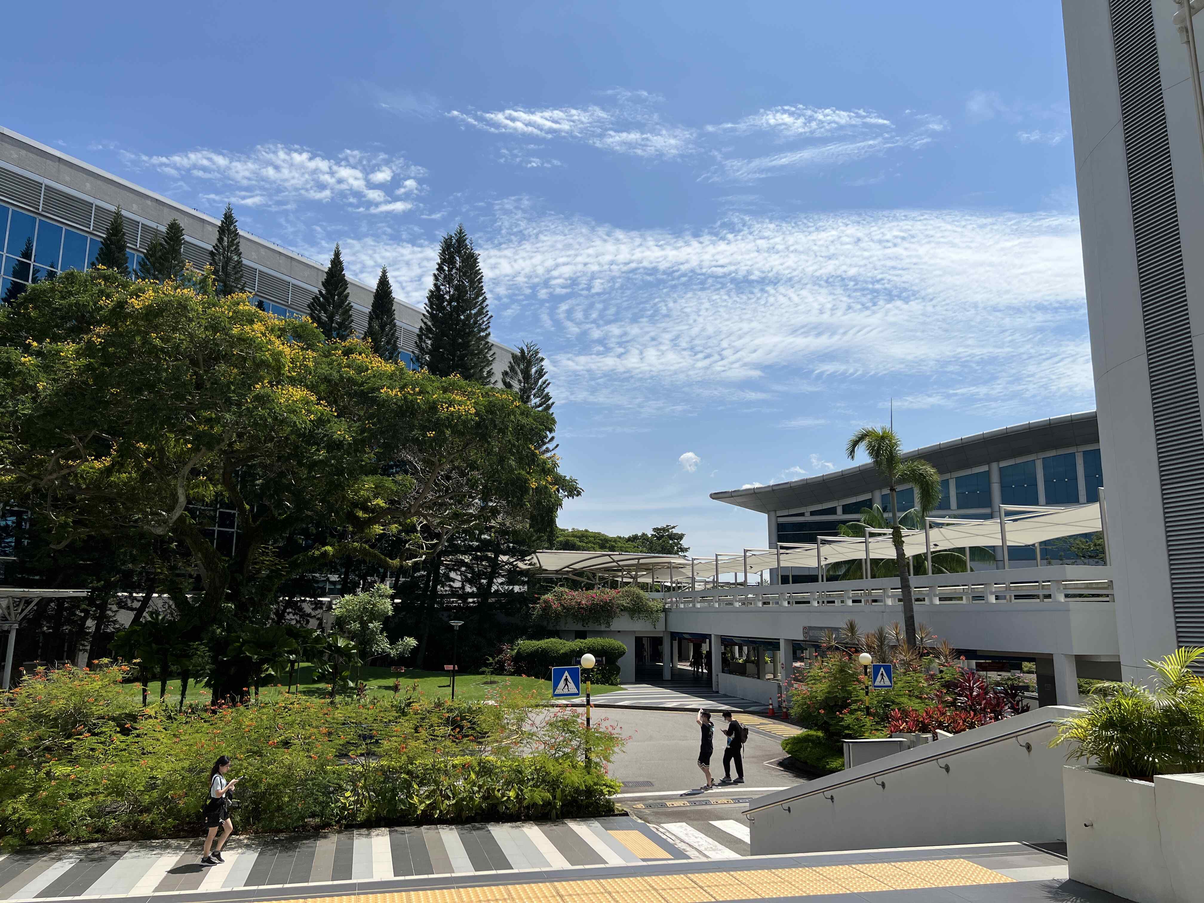 新加坡大学留学费用一览表留学须知