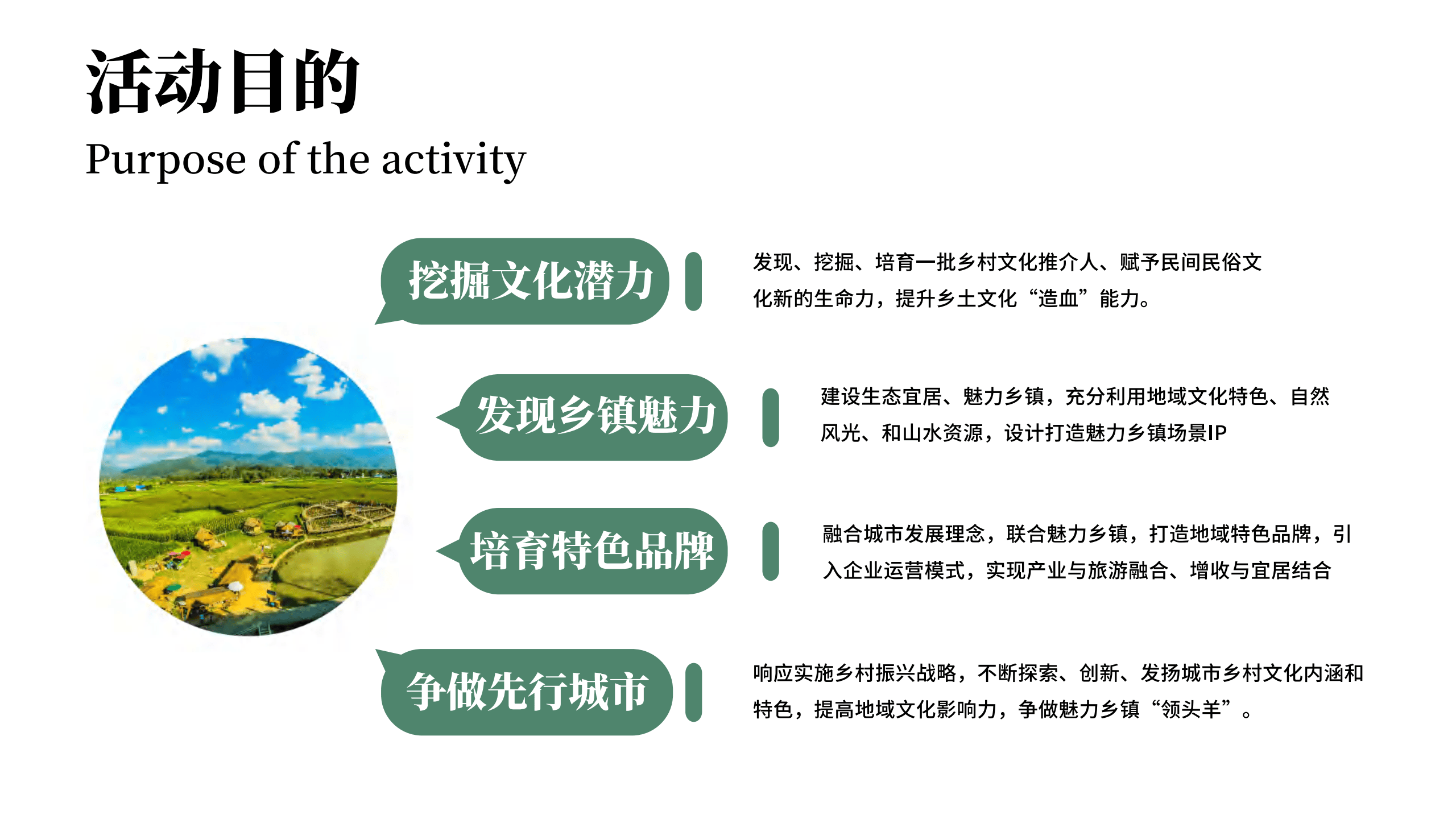 乡村振兴策划案模板(乡村振兴策划书怎么写)