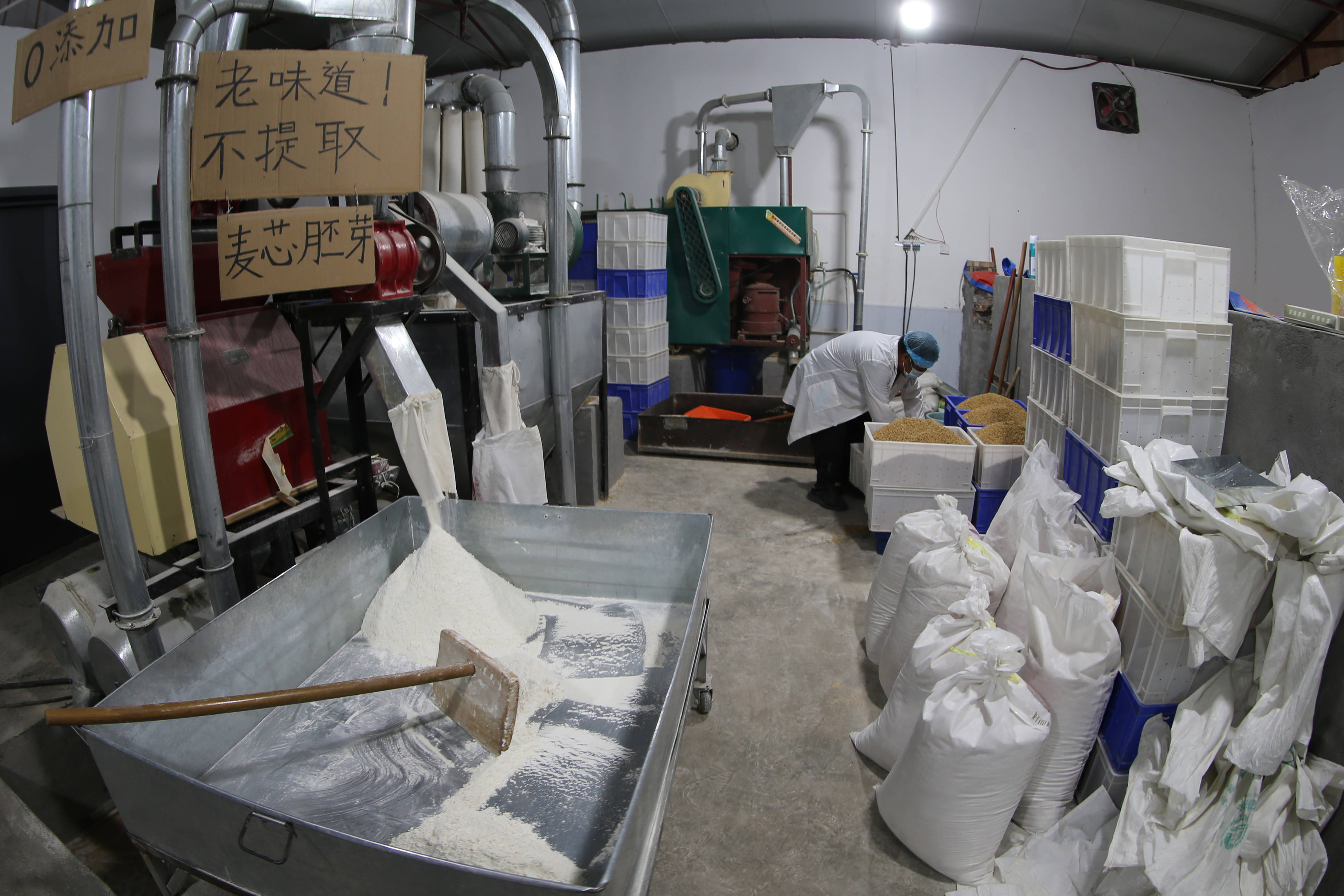 如今,"同州农耕时代"磨坊每天加工上千斤面粉,生产3000多个馒头,包括