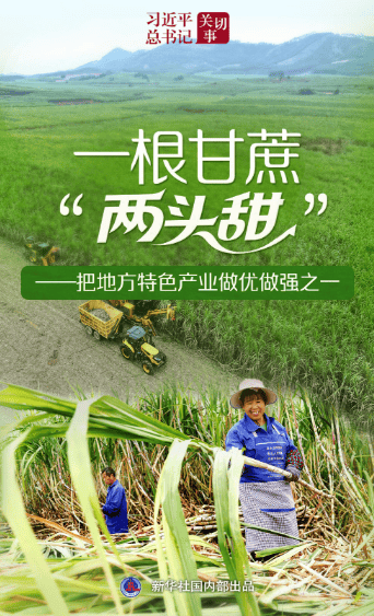Xi Jinping的秘书长的关注点是甘蔗“两端的甜蜜”
