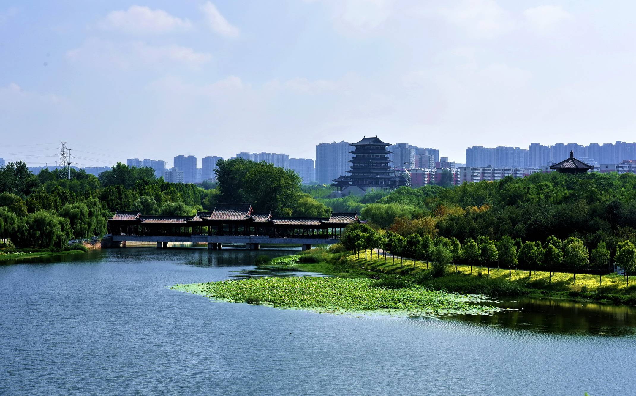 美丽中国:醉美郑州