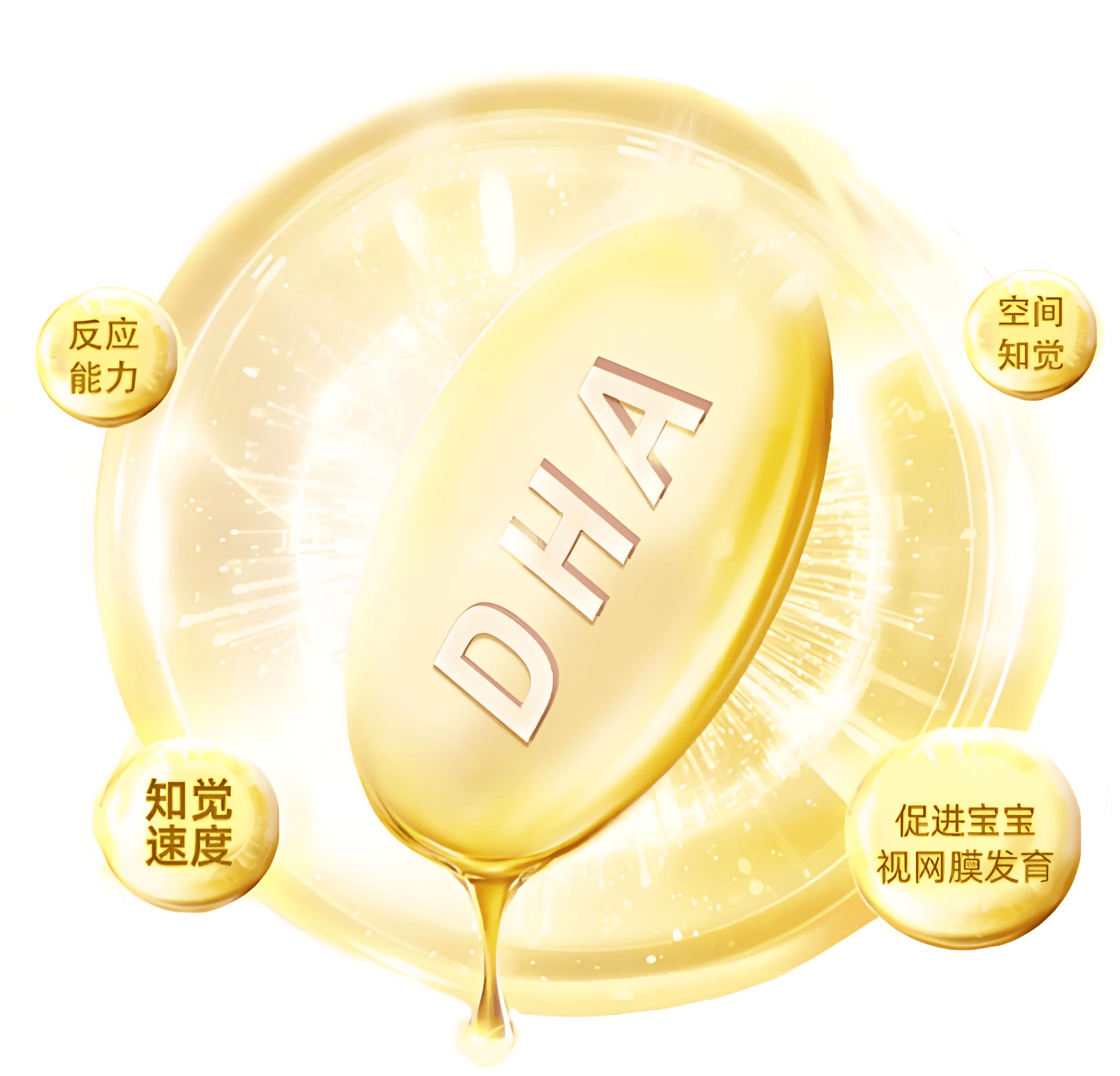 超详细热门dha测评来了!