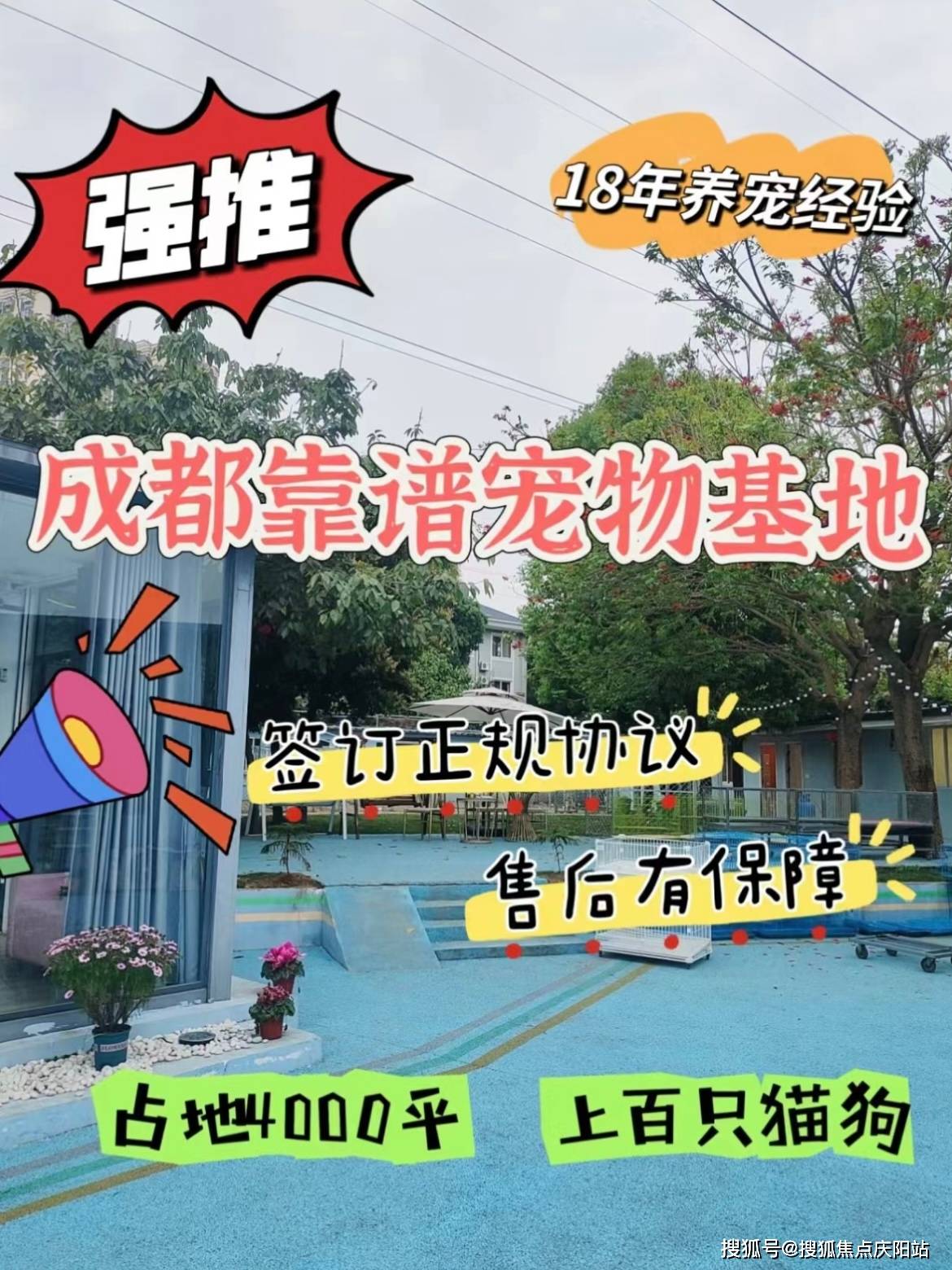 成都哪里可以超度宠物-寺院给亡者超度一般是几天