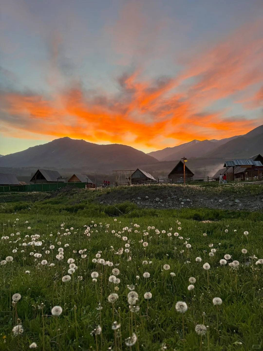 图片[2]-我的阿勒泰之旅：幸好选了问疆行，才没再错过美景-华闻时空