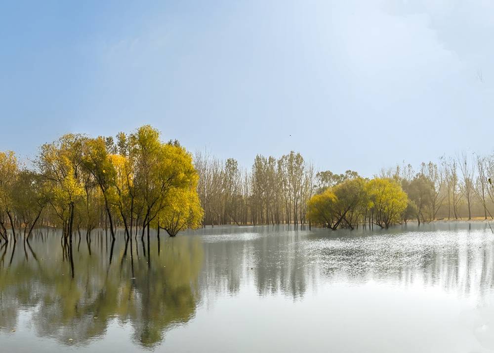 我拍建设中的弥水生态乐园